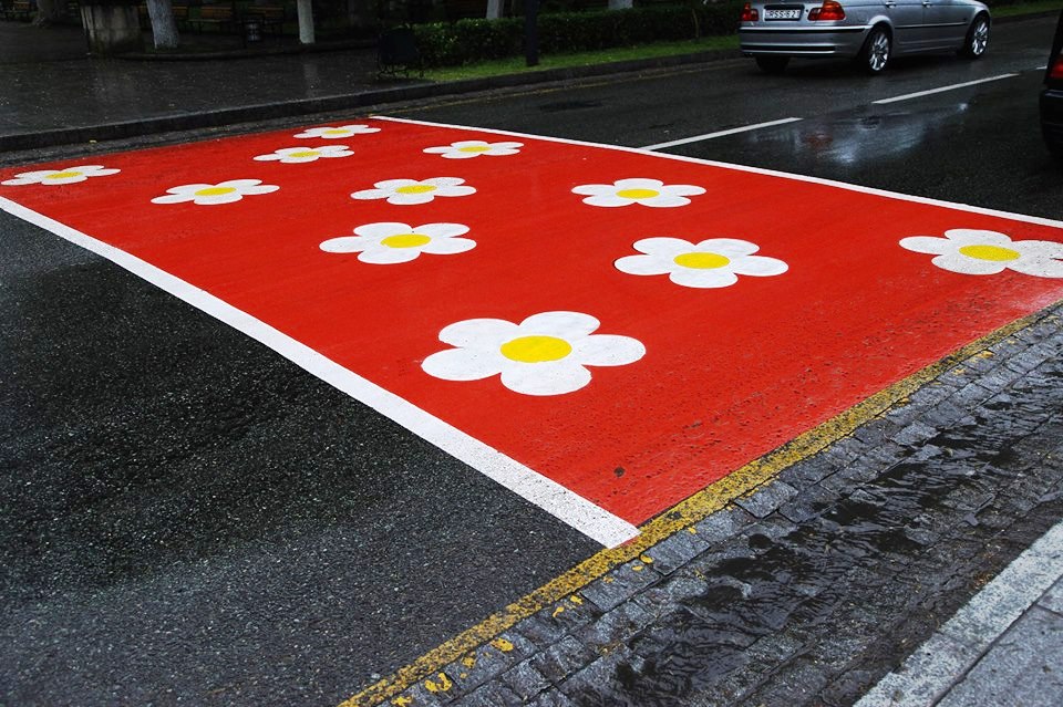 Daisies adorn crosswalk in Kutaisi, Georgia geotv.ge